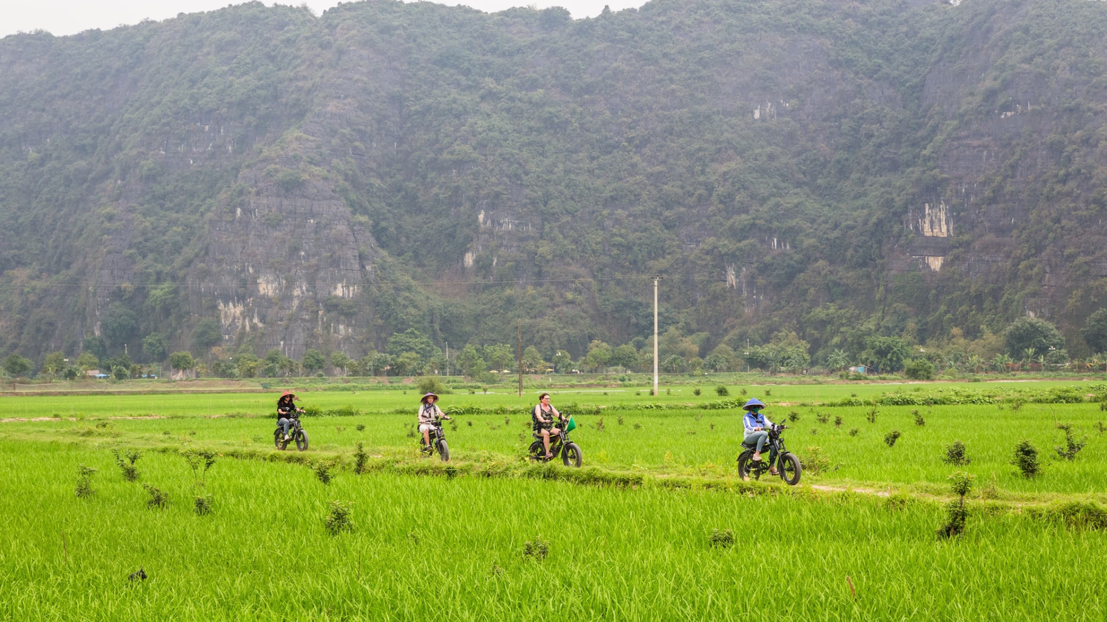 Highlights of Ninh Binh and Tea Ceremony